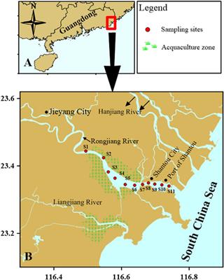 Assessment of the Ecological Status of Rongjiang Estuary (China) Under Human Pressure, Using Biotic Indices Based on Benthic Macroinvertebrates